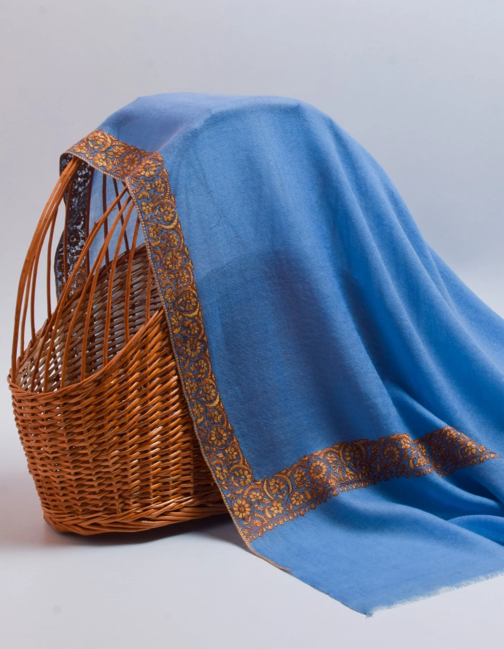 Carolina Blue Handwoven Border Embroidered Cashmere Pashmina Shawl