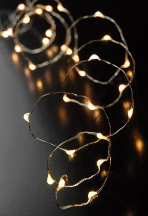 Fairy lights 1 metre (warm-white)