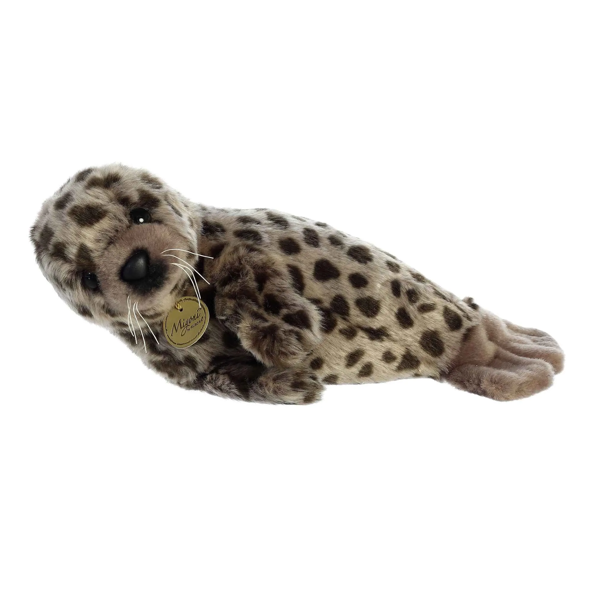 Harbor Seal 11”