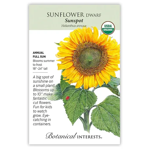 Sunflower Dwarf Sunspot Org Seed Pkt